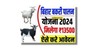 Bihar Bakri Palan Yojana 2024