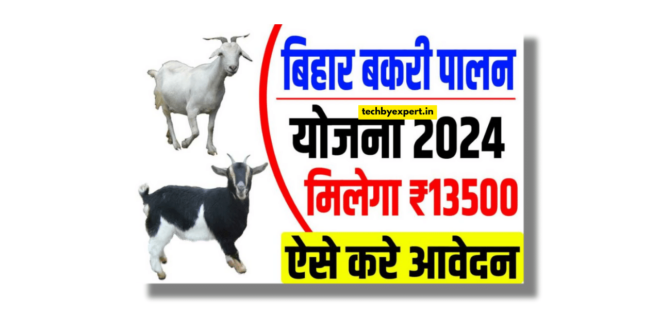 Bihar Bakri Palan Yojana 2024