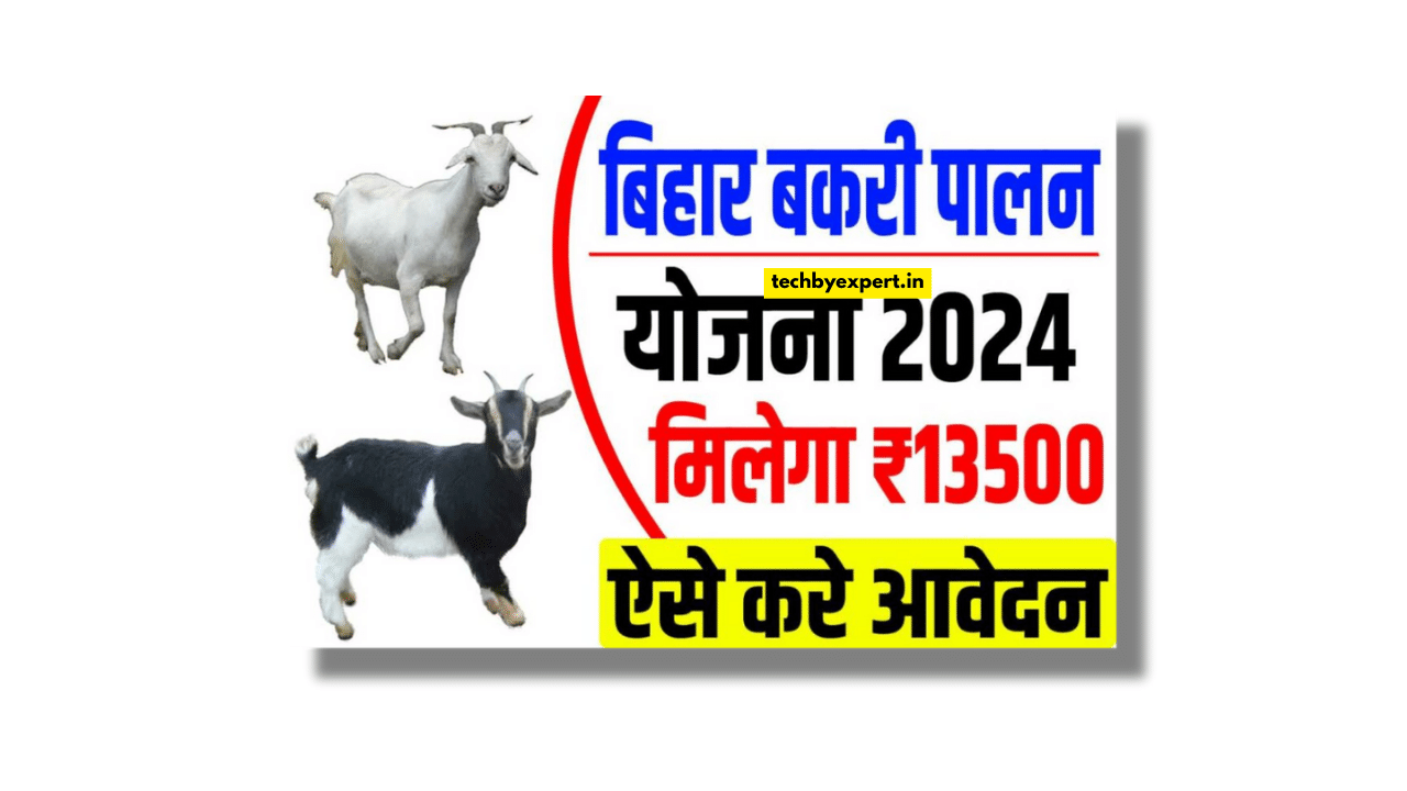 Bihar Bakri Palan Yojana 2024- Bakri Palan Loan Yojana 2024